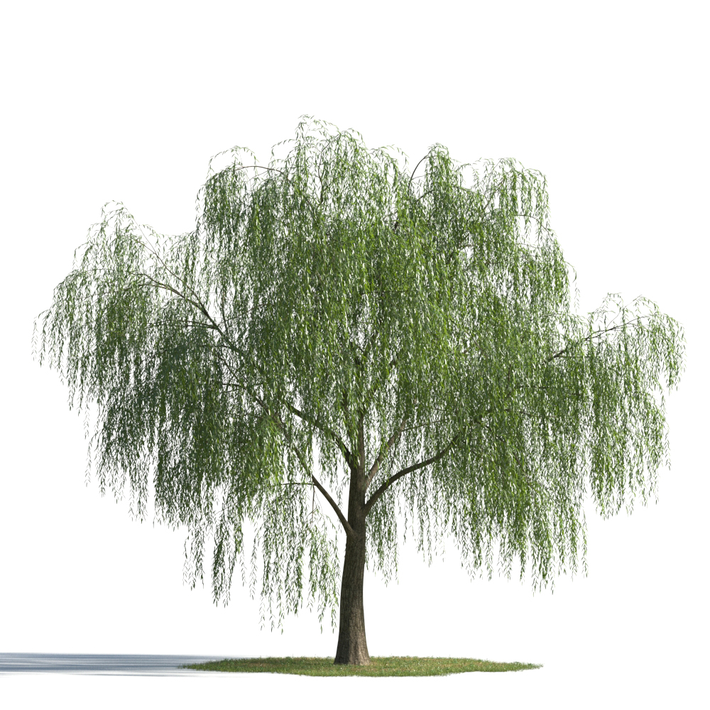 مجموعه عظیم مدل های سه بعدی