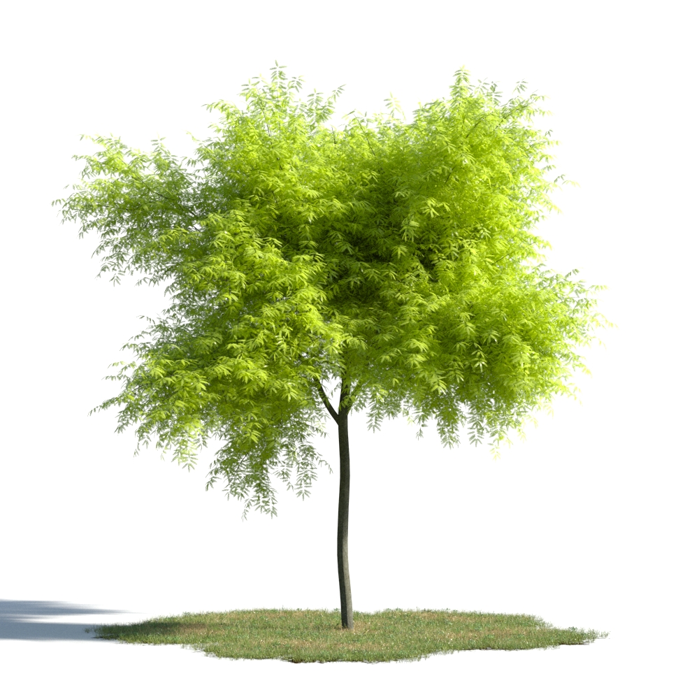 مجموعه عظیم مدل های سه بعدی