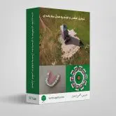 تبدیل عکس و فیلم به مدل سه بعدی