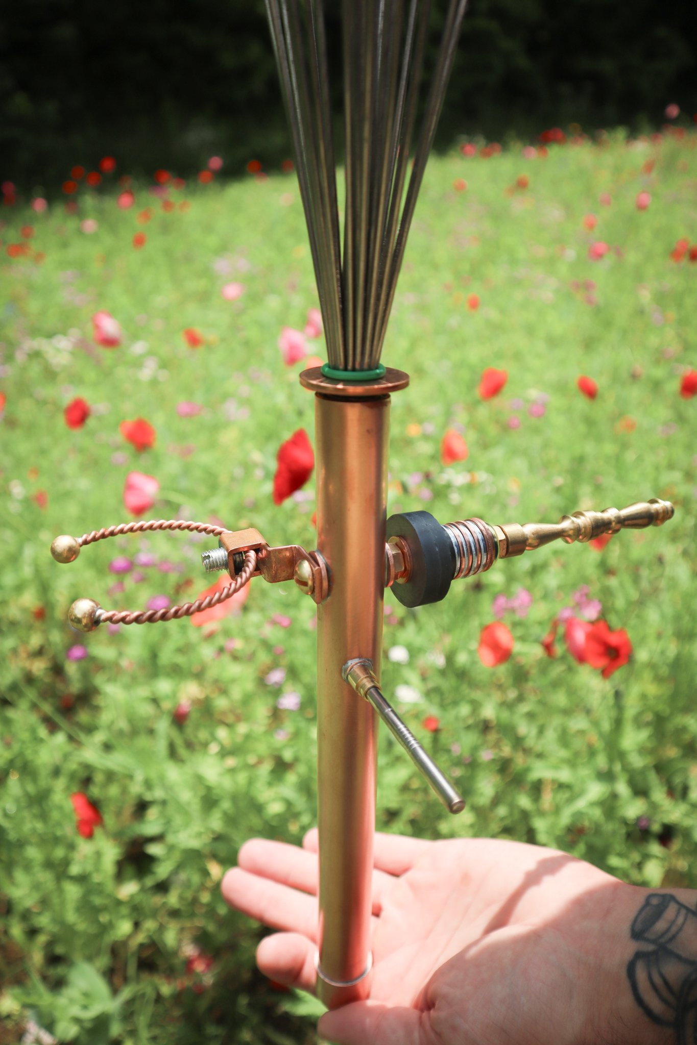 بررسی تأثیر الکتروکالچر بر رشد گیاهان و درختان الکترو کالچر گیاهان آپارتمانی