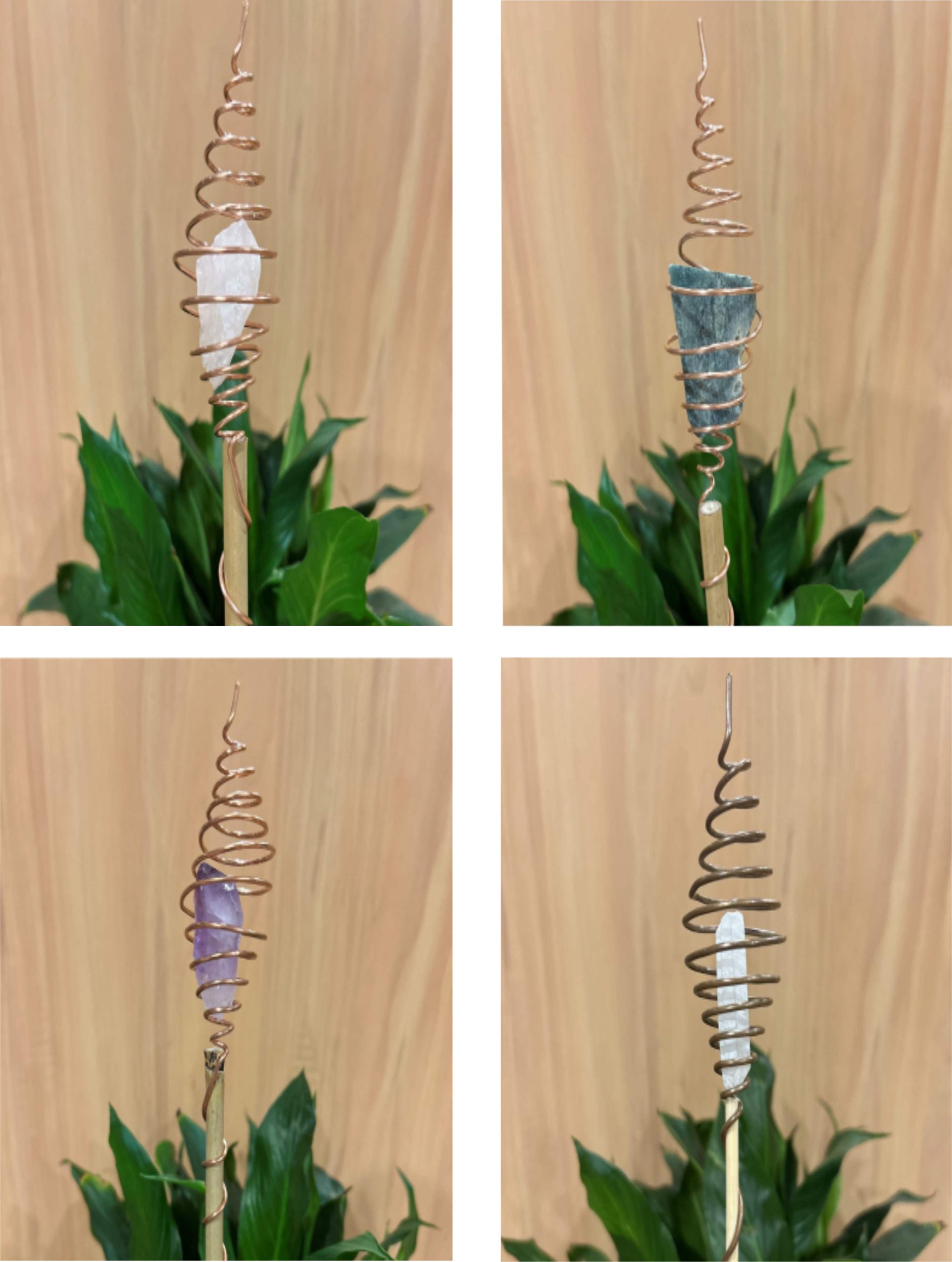 بررسی تأثیر الکتروکالچر بر رشد گیاهان و درختان