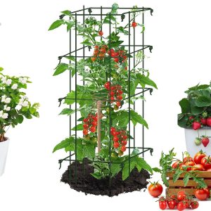 بررسی تأثیر الکتروکالچر بر رشد گیاهان و درختان
