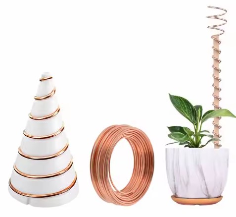 الکتروکالچر مخروطی