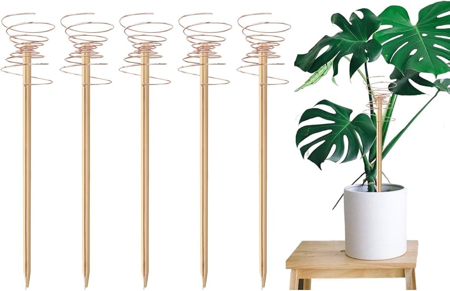 الکتروکالچر گیاهان آپارتمانی