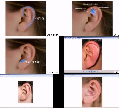 Sculpting Human Ears in Mudbox
