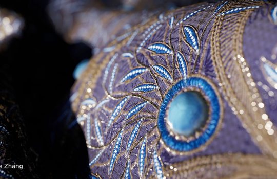 برندگان جوایز Yue-Zhang-Embroidery-Practice