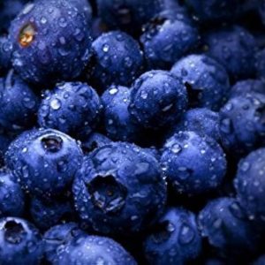 انواع نهال بلوبری بلک بری رزبری