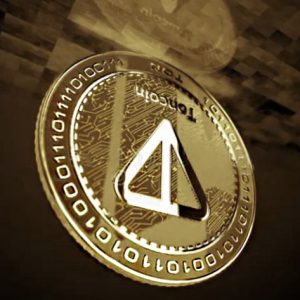notcoin چه کسانی بیشترین درآمد را از نات کوین داشته اند؟