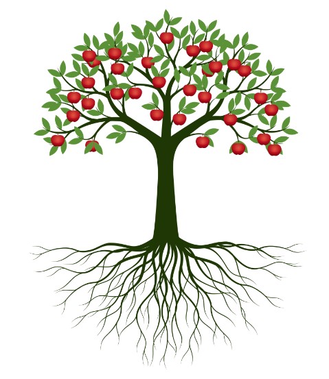 یادگیری زبان به روش NLP