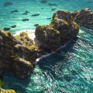 نرم‌افزار VUE